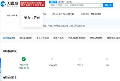 蔚来旗下第三品牌萤火虫申请商标