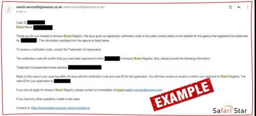 商标注册 亚马逊品牌注册流程