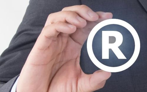 商标申请被驳回的原因及应对策略