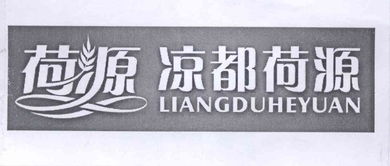 水城荷源食品厂商标申请 策略与步骤解析